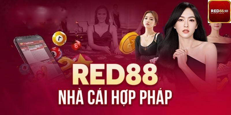 Câu được những con cá hạng King33 và trải nghiệm cảm giác hồi hộp thực sự - King33