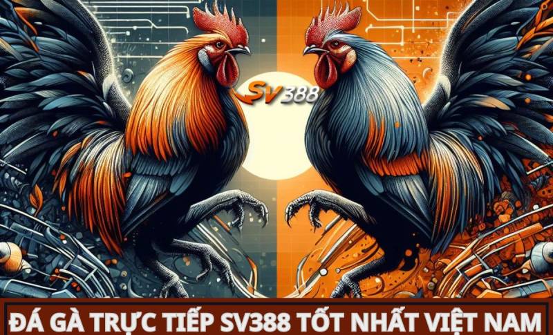 Hãy xem ngay những ưu đãi độc quyền từ nhà bán lẻ trực tuyến uy tín đạt chuẩn Onbet này! - Onbet