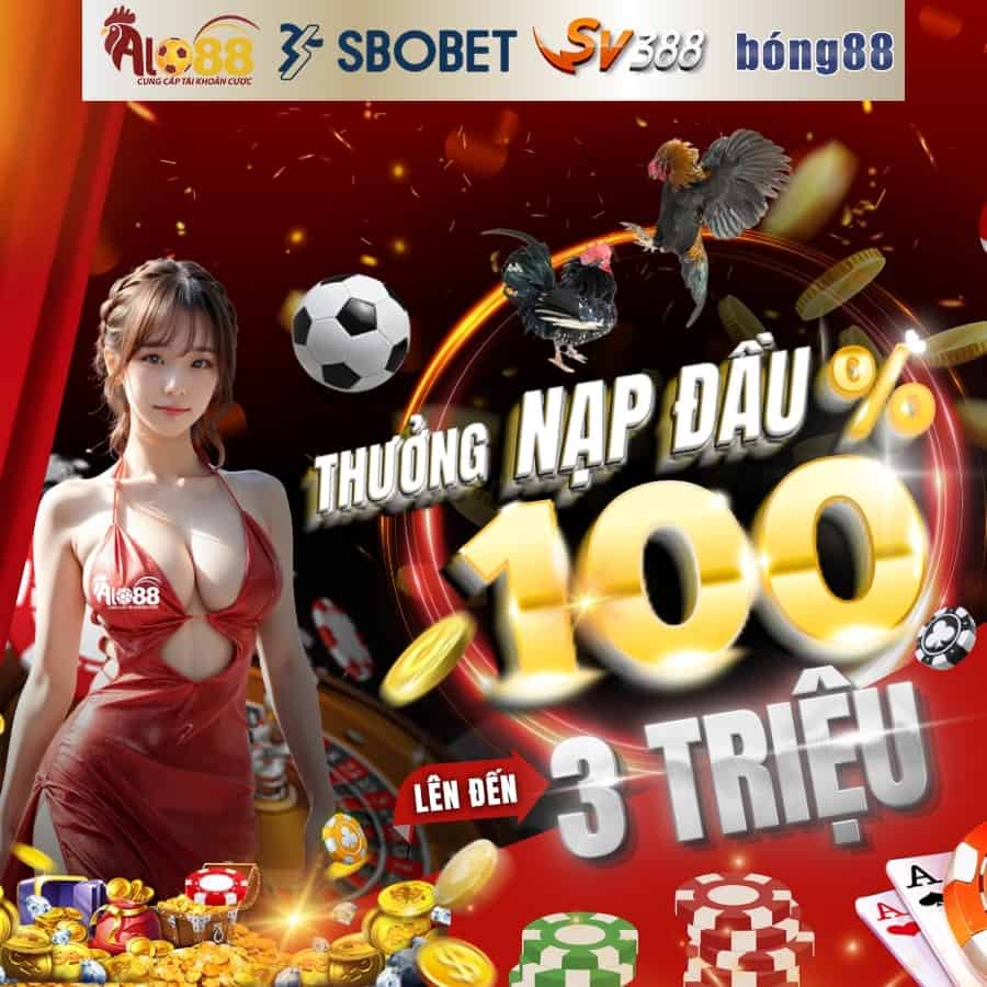Quy trình vận hành của một trang web game cấp độ 88Go là như thế nào? - 88Go