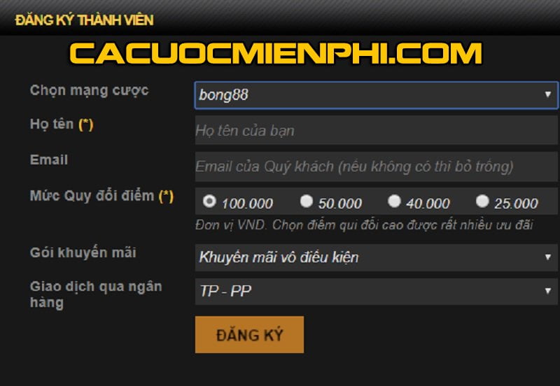 Tổng quan về các công viên giải trí được xếp hạng Okking mà bạn nên biết - Okking