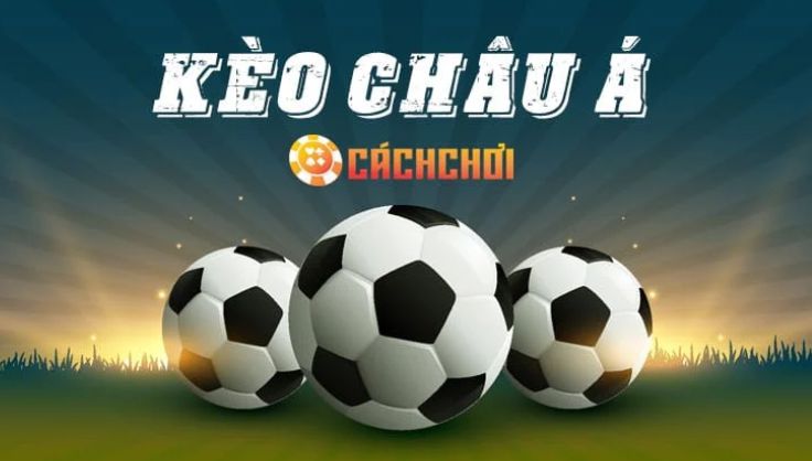 Các sản phẩm bạn có thể trải nghiệm tại V7sb - V7sb