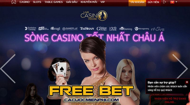 Quyền truy cập cấp K8cc cho phép bạn truy cập vào những trang web trực tuyến tốt nhất - K8cc