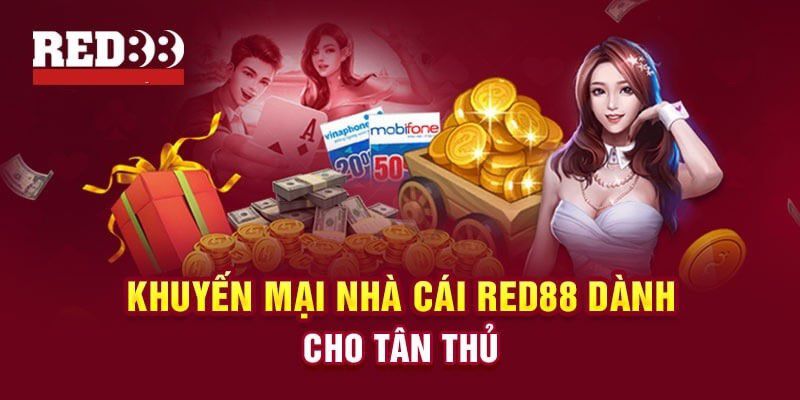 Trò chơi nào được chơi nhiều nhất trong giải Ku11? - Ku11