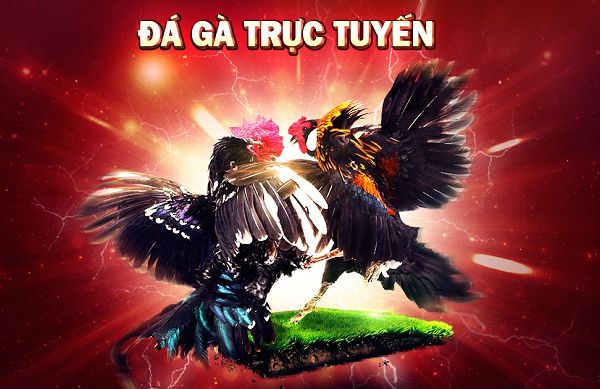 Khi đến nơi, bạn có thể tận hưởng nhiều điểm tham quan hấp dẫn của One88 | EUBET - One88