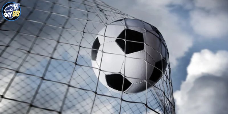 D9bet có một số hoạt động quảng bá khá thú vị - D9bet