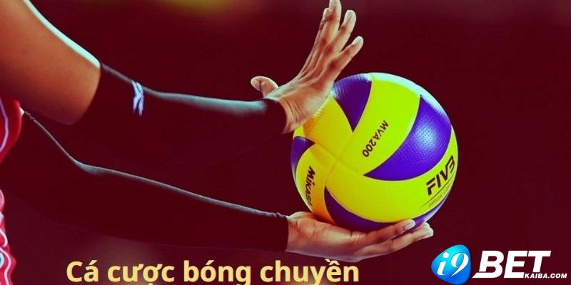 Hướng dẫn cơ bản về vận hành 69Vn - 69Vn
