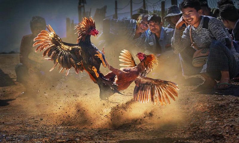 789P Games cung cấp tỷ lệ cược cho nhiều trận đấu bóng đá khác nhau - 789P